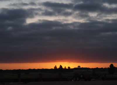 [The dark flat horizon has a few fully-leafed trees extending dark splotches skyward. In between the horizon and a dark grey cloudbank with a flat bottom is a bright orange stripe of sky. The sun is just below the horizon so a small portion of cloud underside is pink.]